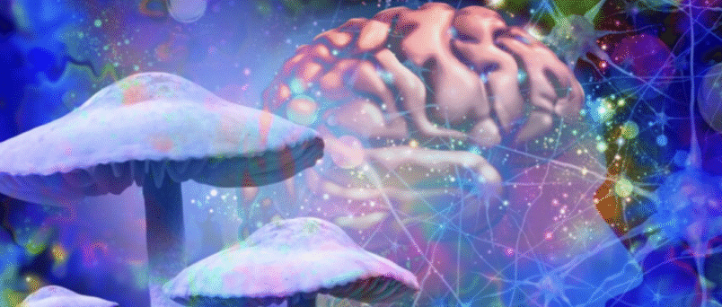 Are Hallucinogens Addictive?